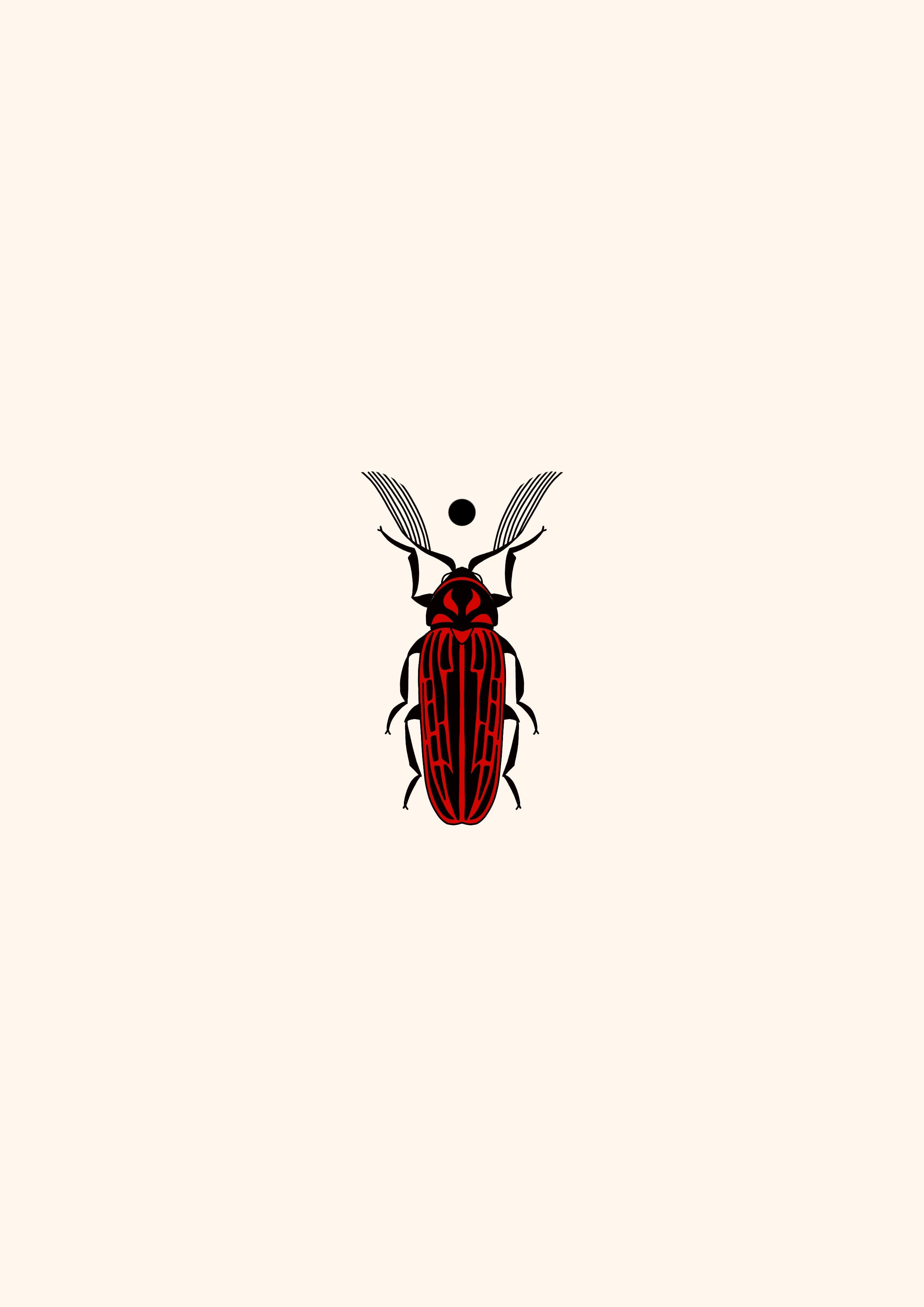 Coléoptère