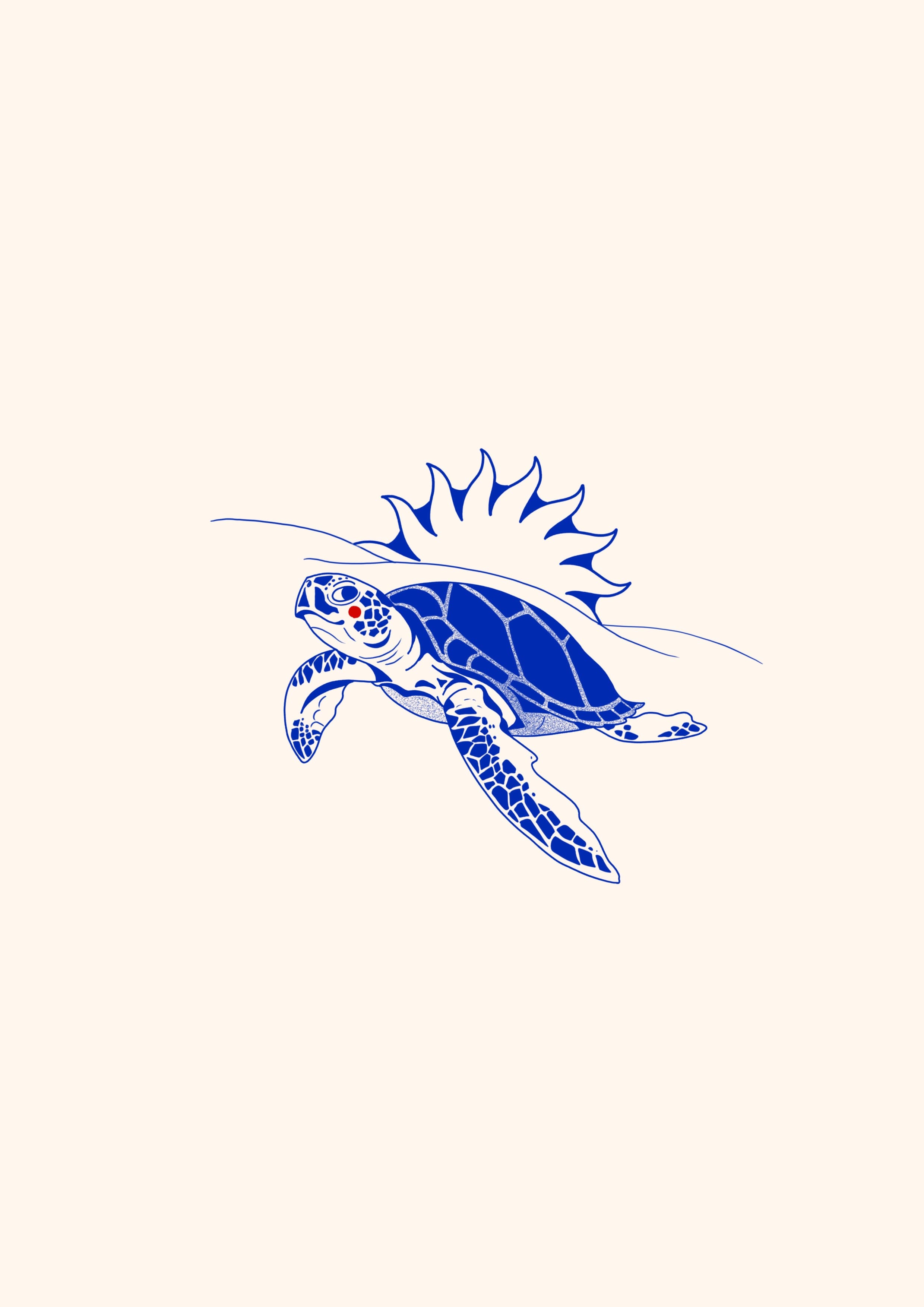 Tortue Marine