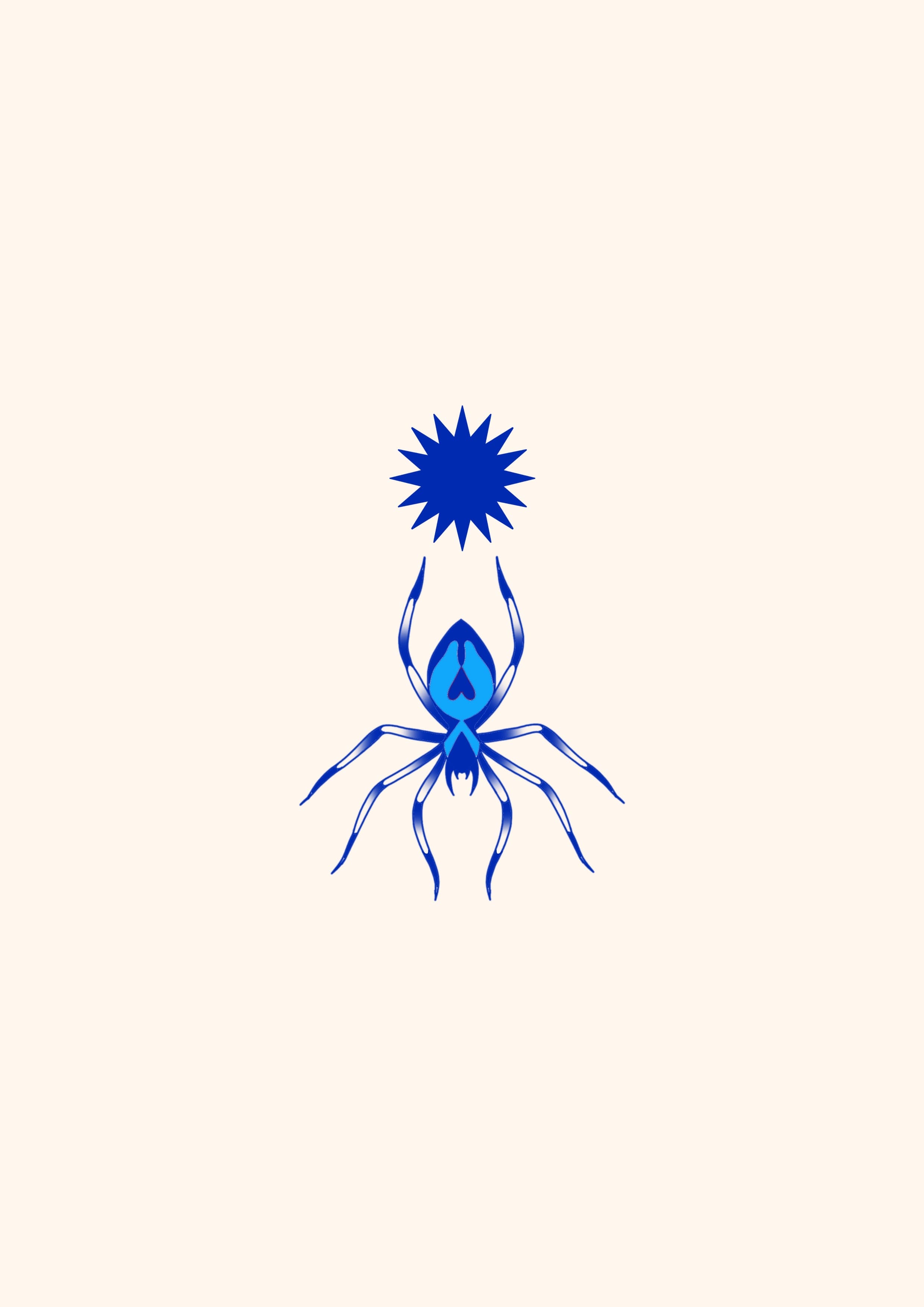 Araignée Solaire